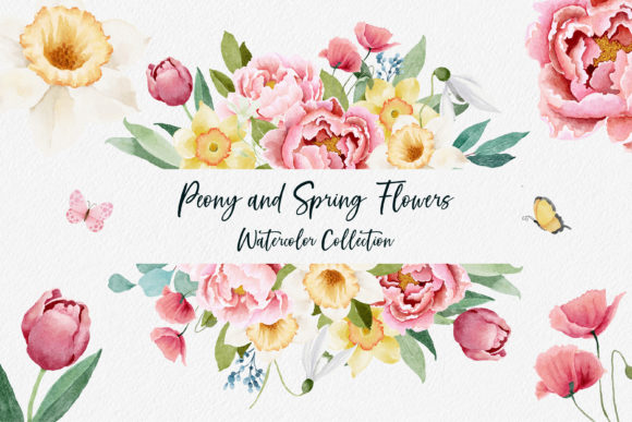 Download Watercolor Peony and Spring Flowers - Premium Resources